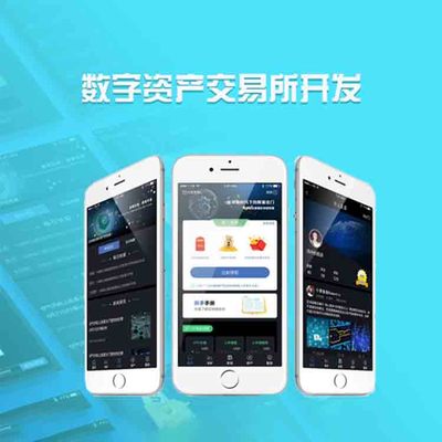 移動(dòng)定制手機(jī)軟件與計(jì)算機(jī)軟硬件技術(shù)開(kāi)發(fā) 新時(shí)代的數(shù)字化驅(qū)動(dòng)力