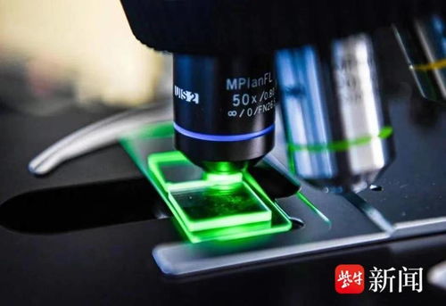 國(guó)內(nèi)首條光子芯片中試線無(wú)錫啟用，軟硬件協(xié)同引領(lǐng)計(jì)算技術(shù)新紀(jì)元